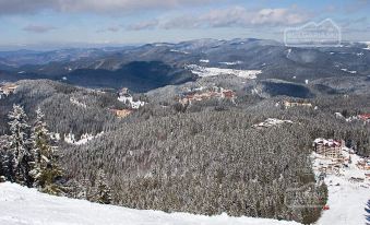 Mtn View Ski Apt - Sleeps4 Petok 5 Min Ski Lift
