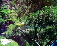 City Center Lodge - sarapan