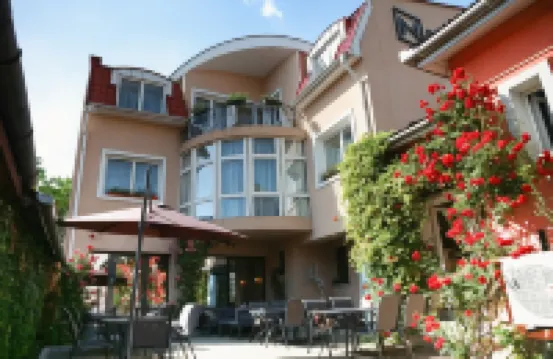 펜시우네아 다비드  호텔