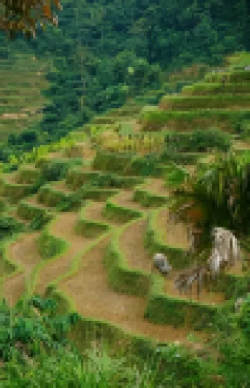 Ha Giang Yolo House and Loop Tours