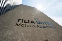 Hotel Tilia Hotels in Wetzikon