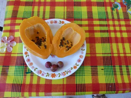 Caribbean bungalow, fountain of youth ...