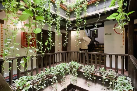 Oasis Backpackers' Hostel Granada