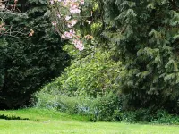 Hillbrow Farm B&B Hotels in Barham