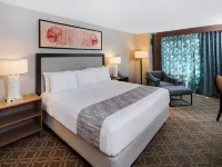 كانيري هوتل آند كازينو