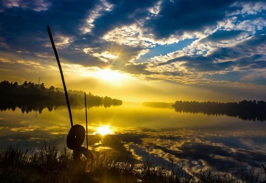 Ayurvedee Traditional Ayurveda - Housity