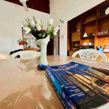 Lazy Bear Best Hostel in Kandy Rooms