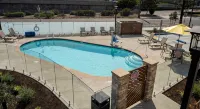 Lemon Heights Inn - Swimmingpools