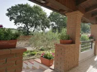 Country House - Homestays