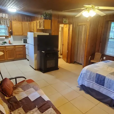 Lake View Cabin on Lake Norfork