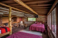 Secluded Finger Lakes Cabin Near Watkins Glen. Views,  Private Trails, Firepit