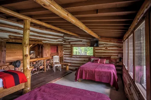 Secluded Finger Lakes Cabin Near Watkins Glen. Views,  Private Trails, Firepit - 民泊
