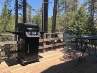 Twin Rock Tree House - Vintage Cabin