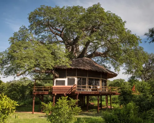 Elewana Tarangire Treetops Ξενοδοχεία στην πόλη Monduli