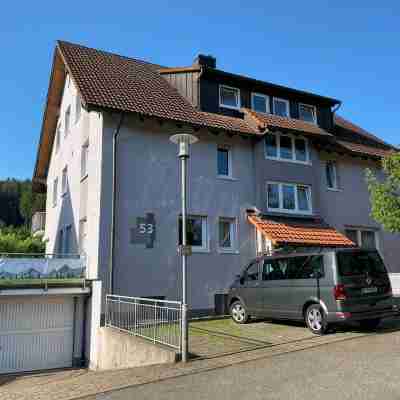 Baiersbronn, Black Forest, Schwarzwald, view, 2 rooms, sun, balcony, quietness Hotel Exterior