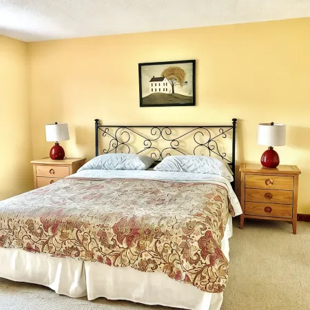Perfect for family getaway, across from Mount Snow Mountain- Sleeps up to 12!