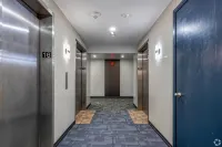 Modern Two Bedroom Apartment with City Views - Apartments