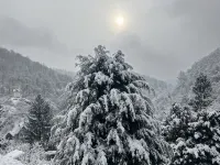 Ferienwohnung mit Fantastischem Ausblick, Direkt am Wald