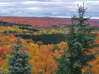 Private Wooded Log Cabin Near Shanty Creek Resorts -Four Season Adventure Awaits - Chalets