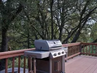 Light filled 3-bedroom cabin with a stone fireplace in magical Idyllwild, CA