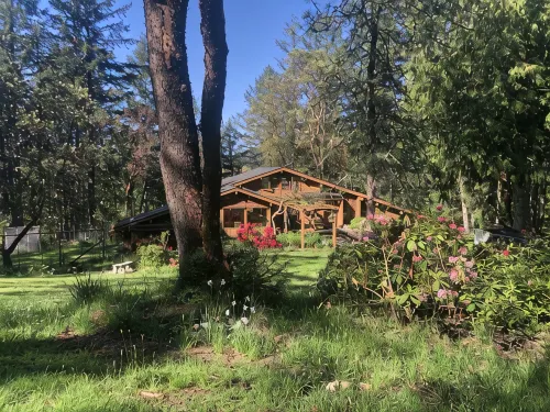 Misty Haven Suite