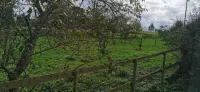 Fantastic self-catering apartment on the outskirts of Caerleon