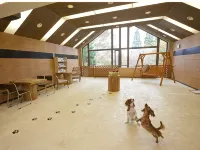 Dog Palace Resort Aso Otohime