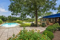 Secluded, stunning 🌊water views 1 mi from beach🏝️☀️ - Private Pools
