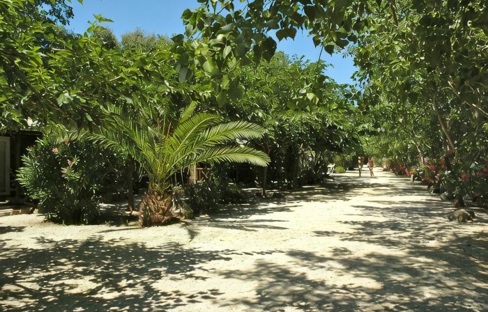Algajola - New wooden air-conditioned chalet for 4/5, 1 km away from the beach