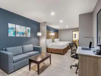 Best Western Plus Edinburg Inn  Suites