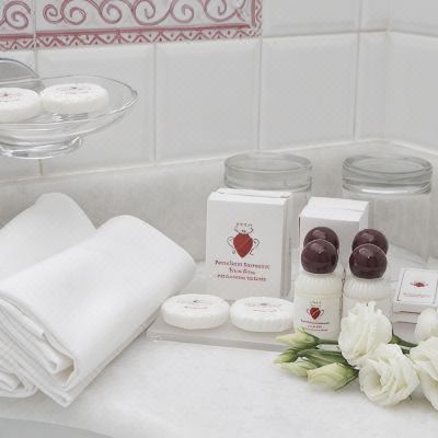 Standard Room Villa Pace Park Hotel Bolognese Promo Code