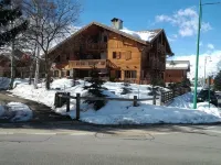 Chalet Edelweiss LA Dibona DE Standing - Chalets