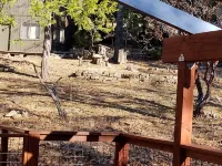 Sunrise Hideaway PRIVATE LAKE ACCESS - 무료 와이파이