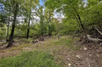 Mountain Chic Retreat-Harpers Ferry, the AT, Wine country w/ Lake Beach passes! - 4-Star