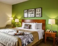 Sleep Inn & Suites Near Palmetto State Park - Parking