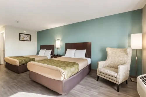 Econo Lodge Inn & Suites Brooks - Louisville South - Wifi