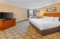 Comfort Inn - Lemmikkieläimet sallittu