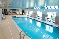 Hampton Inn & Suites Detroit-Canton - Pools