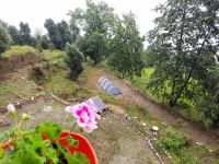 Janardan Campsite Kausani - con vistas a la montaña