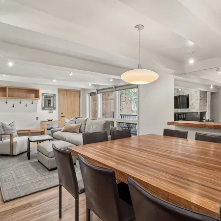 Contemporary Condo in Aspen Core