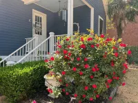 The Beaumont House Natchez - Boutique