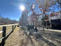Stay for July 4th - Fiber Wifi! - Close to Callaway Gardens - Boutique