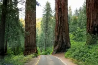 Romantic Couples Cabin near Park Gate Entrance to Sequoia Nat'l Park - Chalets