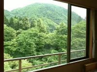 Hanamaki Ryokan Airinkan - con vista montagne