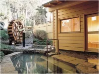 Ryokan Sakaya - Hot Springs