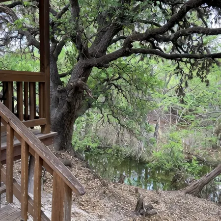Creekside Cabin near Lost Maples State Park