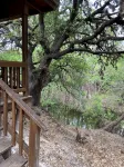 Creekside Cabin near Lost Maples State Park - シャレー