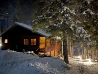 Spacious lakeside cabin in the heart of the Northwoods - 3-Star