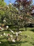 Penmarc’h-Holiday Cottage - 3 estrellas