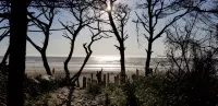 Cozy Family Cabin-Secluded beach access, non-smoking home awaits you - Chalets